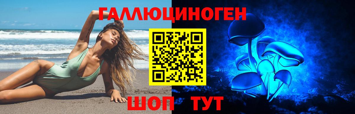 Галлюциногенные грибы Psilocybe Алексин